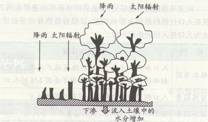 高考地理《雨林生態(tài)的脆弱性》考點(diǎn)圖片