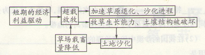 高考地理:荒漠化自然原因與人為原因和考點(diǎn)圖片