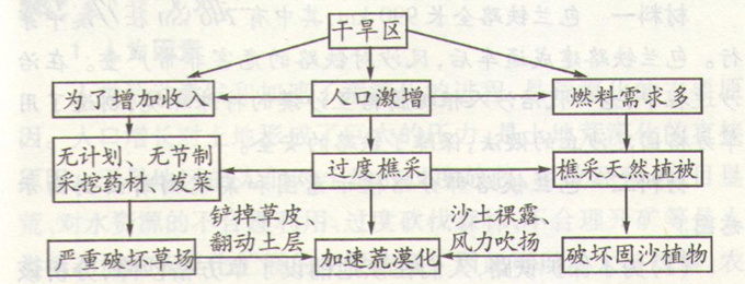 高考地理:荒漠化自然原因與人為原因和考點(diǎn)圖片