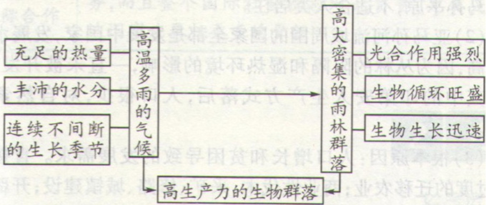 高考地理《雨林生態(tài)的脆弱性》考點(diǎn)圖片